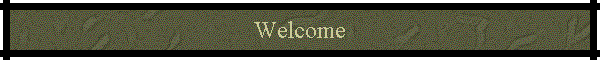 Welcome